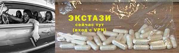индика Дмитриев