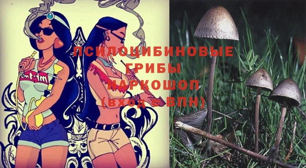 молекула духа Абинск
