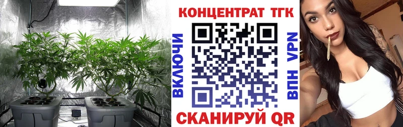 ТГК вейп Кинешма