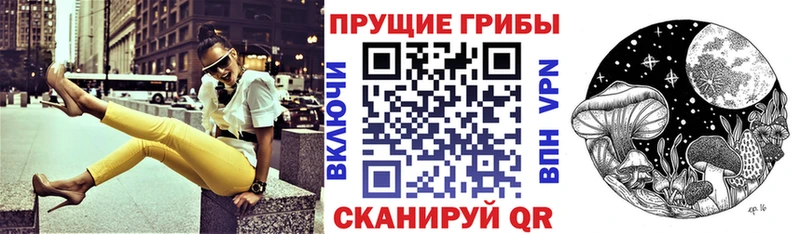 купить  сайты  Кинешма  Галлюциногенные грибы GOLDEN TEACHER 